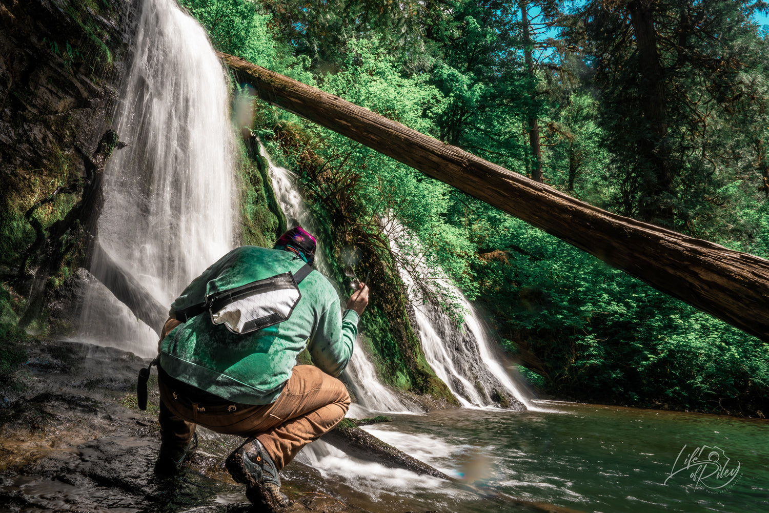 Riley - Photographer | Lynnwood, Wa, Usa