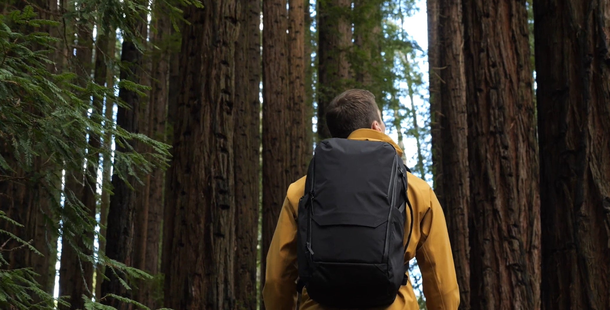 World Rainforest Day 2023: How We’Re Doing Our Part For The Rainforests