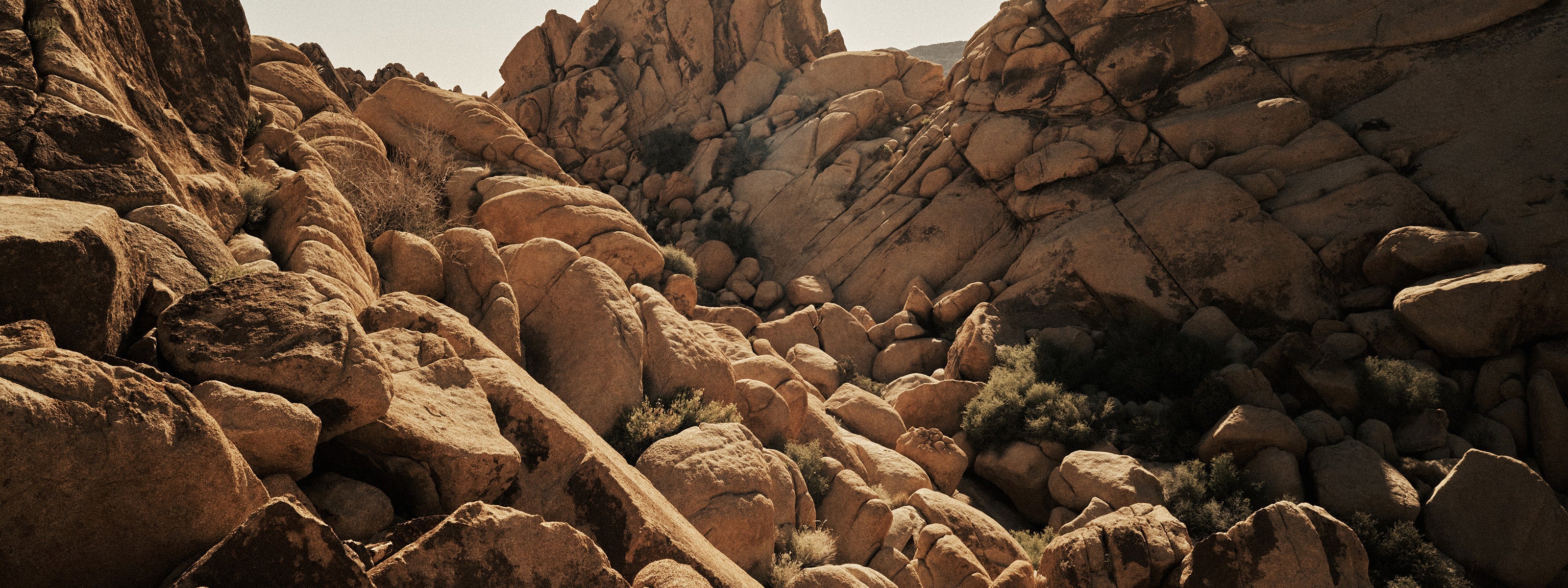 The Mojave Collection: Where Rugged Meets Refined