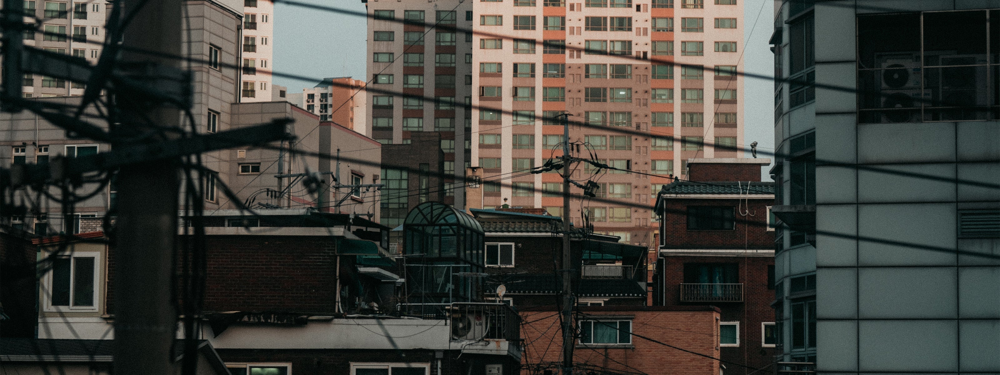 Seoul Searching: A Journey Through Culture And Carry